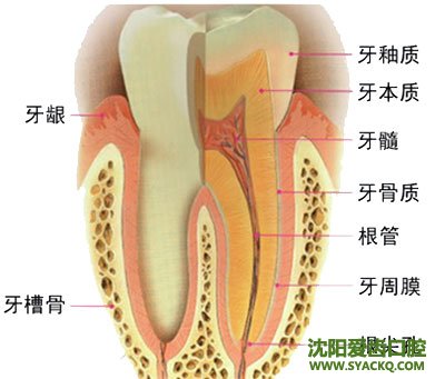 　　早孕适应人群以及手术成功标准