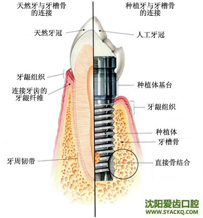 　　早孕会产生的副作用都有哪些?