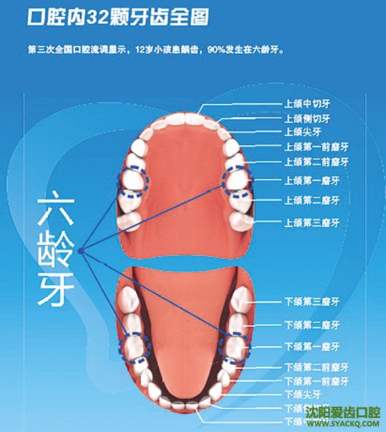 牙齿根管治疗的价格是多少?